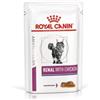Royal Canin Veterinary Diet KIT 6x Royal Canin V-Diet Renal al Pollo Gatto - 85 g, 6 pezzi - PREZZO A CONFEZIONE