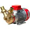 Rover Pompe Rover Marina 30 - Pompa elettrica da travaso in bronzo - 12 V