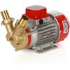Rover Pompe Rover Marina 30 - Pompa elettrica da travaso in bronzo - 24 V