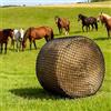 Ysislybin Rete da Fieno per Cavalli, Rete da Fieno per Balle Rotonde Rete da Fieno Resistente all'usura per Cavalli, Dimensione Delle Maglie 4,5 x 4,5 cm, Prolungamento dei Tempi di Alimentazione (150x150cm)