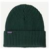 Patagonia Fishermans Rolled Beanie Cascade Green Cap Coste Pino