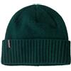 Patagonia Brodeo Beanie, Cascade green