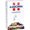 Amuchina Compresse Disinfettanti 24 Compresse