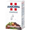 AMUCHINA-24CPR 1G