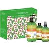 Amovita Beauty Routine Veraficus