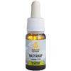 MAP ITALIA Srl NASYAMAP Olio 10 ml