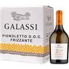 Galassi Pignoletto DOC Vino Frizzante