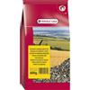 VERSELE-LAGA 600 gr Versele-Laga Semi di Girasole Piccolo Striato per Tutti gli Uccelli