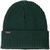 Patagonia Fisherman Rolled beanie, Cascade green