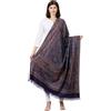 Pashtush Sciarpa In Cashmere Per Donne Jacquard Palla Calda Morbida Finta Pashmina Wrap