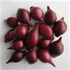 SGARAVATTI CIPOLLA ROSSA 12/24 CONFEZIONE 500G - 1PZ