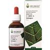 Arcangea Ficus Carica Bio 33 Circulatum Gemmoderivato 50ml