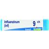 Boiron INFLUENZINUM 9CH GLOBULI 1 DOSE 1G