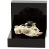 A Bijoux Dravite. 47.3 Ct. Cava Di Gesso, Arignac, Ariège, Francia. Ultra Raro