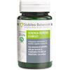 Giubileo Botanicals integratore alimentare 100% naturale - SERENOA REPENS GIUBILEO - Con Epilobio ed Ortica (Drenante) PER FAVORIRE LA FUNZIONALITÁ DELLA PROSTATA - Vegan Ok 30 capsule per un mese di trattamento.