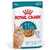 Royal Canin Ageing 11+ in Gelatina - 12 x 85 g
