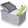 Cozary Scatola Porta Oggetti con Coperchio - Scatola Flessibile e Impilabile per Vestiti e Accessori, Grande Capacità da 30L - Grigio - 40x30x25cm