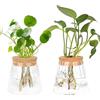 MJFENDAI 2 pezzi per piante idroponiche, terrario, vintage, piccoli vasi per decorazione da tavolo, vaso in vetro propagazione stazione a sfera per piante da appartamento, piante idroponiche