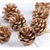 TenaLucy 36 Pezzi Pigne Decorative, 3-4cm Pigne Naturali, Natale Decorazioni, Natale Decorazioni Casa per la Decorazione Domestica Artigianato Fai da Te Albero di Decorazione Autunno Inverno