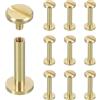 sourcing map Chicago - Set di 10 rivetti a vite M4 x 20 mm, in metallo, a testa Phillips, per fai da te, pelle, borse, artigianato, rilegatura, ottone