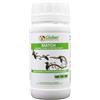 GLOBER Match Concentrato Liquido 250 ml - Fertilizzante a base di Zolfo e Rame per la carenza di zolfo e rame delle tue piante
