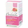 Candiphilus 60 compresse