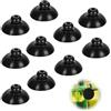 PEUTIER 10 Pz Ventose per Acquario, Clip per Ventosa da 2,6 cm Clip per Ventosa in Gomma per Acquario Accessori per Acquario per Pompa dell'Acquario Configurazione di Aerazione dell'Acquario (Nero)