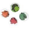 Petra's Bastel News 'Petra S Kit Creativo News a la4df1 dosi Set Foglie Colorate I, Composto da 4 Diverse Fantasie 4 Colori, Set di 4, Legno