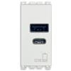 VIMAR Alimentatore USB VIMAR 12W 2,4A 5V 19292.AC.B - Ricarica Rapida con Uscita USB Tipo A e C, Bianco