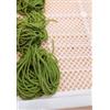 FIMAR Cassetta porta pasta fresca, 4 pezzi