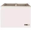 FIMAR Congelatore a pozzetto con porte in vetro scorrevoli 245 L | 103 x 67,5 x H 84 cm