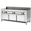 CUOCIPIADA ELETTRICO SU VANO INOX CON ANTE 6