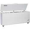 CONGELATORE A POZZETTO CON PORTA A BATTENTE 700 L | 205,5 x 73 x H.90,5 cm