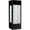 Vetrina freezer per gelateria e pasticceria 325 L, display digitale | 68 x 70,6 x 200 H cm