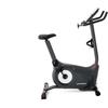 Cyclette Bike 510U Schwinn