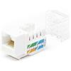 MACH POWER Frutto keystone rj45 utp cat6 bianco per reti ethernet professionali