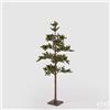 Enzo De Gasperi EDG Enzo De Gasperi Pino Con Pigne e Base H138 cm