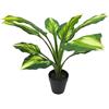 DRW Pianta artificiale di un aglaonema in acrilico, melammina e plastica in verde 50x60x60cm