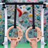 Two Stones Hangboard Portatile per Arrampicata su Roccia Come Anello per trazioni per scalatori da Roccia Allenamento Indoor o Outdoor