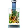 WabiFlur Terrario Stabilizzato Sparoza in Vetro Extrachiaro, Completo di luce e supporto, Fiori Stabilizzati Arredo Naturale Elegante Senza Manutenzione per Casa, Ufficio e Idee Regalo Green