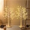 POIFL Set di 2 luci a LED per albero di Natale, luce bianca calda, in betulla con 24 LED, funzionamento USB/a batteria, albero luminoso regolabile, per Natale, Pasqua, feste, compleanni, decorazione interna