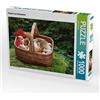 CALVENDO Bindig Rudolf - Puzzle a forma di cestino di funghi con funghi in pietra, 1000 pezzi, dimensioni: 64 x 48 cm