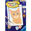 Ravensburger CreArt 23756 - Simpatico gatto - dipinto con numero per bambini dai 7 anni in su, set di pittura con cornice, pennello e colori acrilici, regalo per ragazze e ragazzi