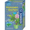 Kosmos 657802 - Set Completo di Mini Serra per Bambini dai 6 ai 10 Anni, esperimento di mitbringee Teal/Turquoise Green