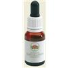 BUSH BIOTHERAPIES Pty Ltd Red grevillea austr gocce 15 ml