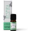 Hp Italia Sinergia Con Olii Essenziali Respira 10ml