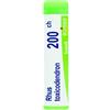Boiron Rhus Toxicodendron 200CH Rimedio Omeopatico in Globuli, 1g