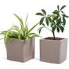 Vimin Box Set 2 pcs, Vasi Quadrati in Ceramica, per Interni, Grigio Tortora, per Piante Grasse, Fiori, Bonsai, Cactus, Decorazione Casa, Scrivania, Tavolo, Ufficio. (M - 10x10cm Tortora)