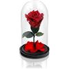 Aluisi Fiori - Rosa Stabilizzata Rossa - Base in Legno Nero Senza LED - Rosa Stabilizzata Vera in Campana di Vetro - Fiori Stabilizzati