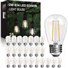 LangPlus+ lampadine LED S14 in vetro da 2W, attacco E27 2700K bianca calda LED Lampada Edison per stringhe luminose, non dimmerabili da 2W equivalenti a una lampadina a incandescenza da 20W 25 pezzi